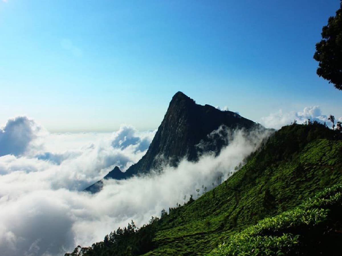 Weekend Kerala Tour Package 3