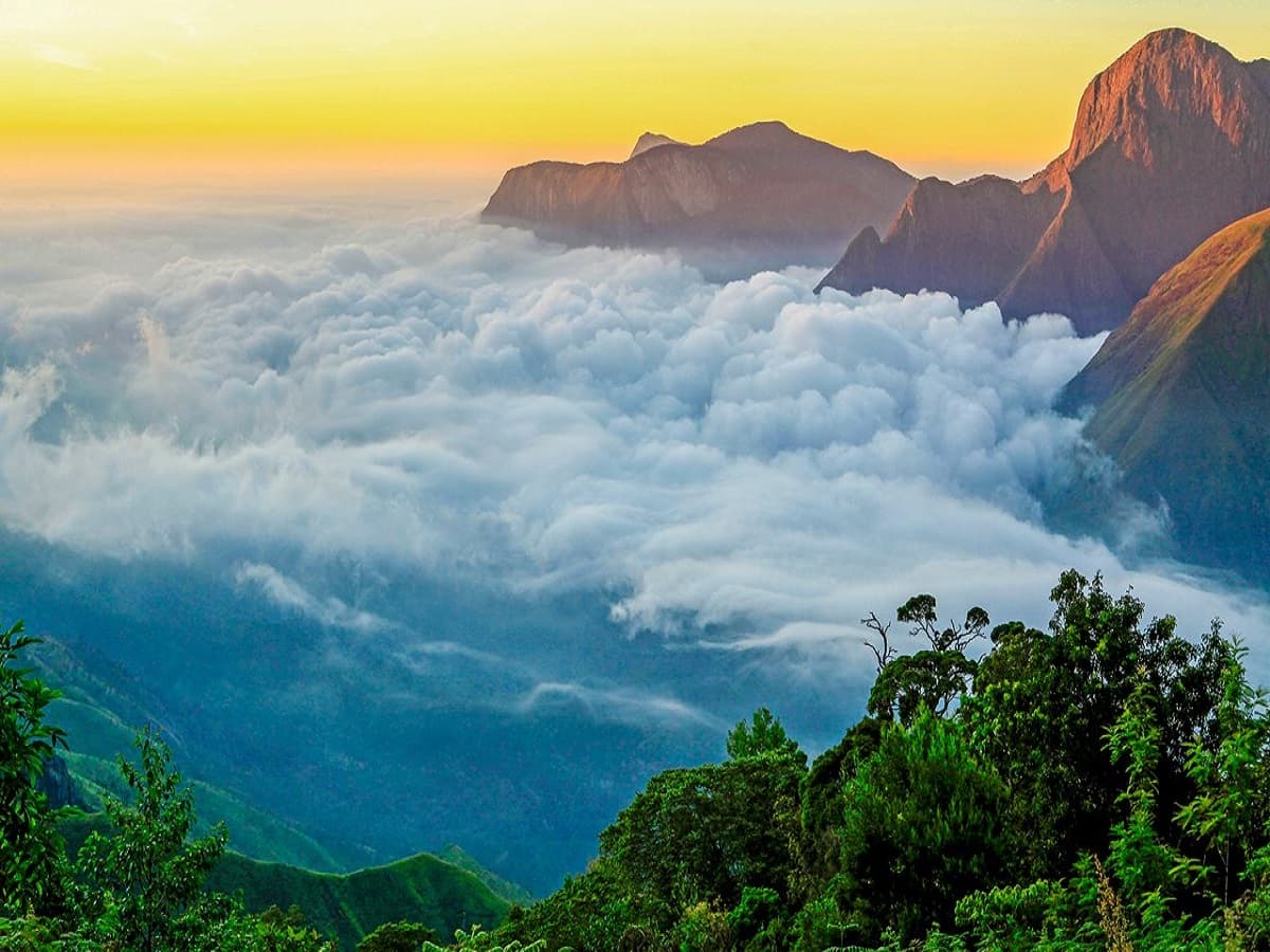 Kerala Quick Escape Package 3 Days 5