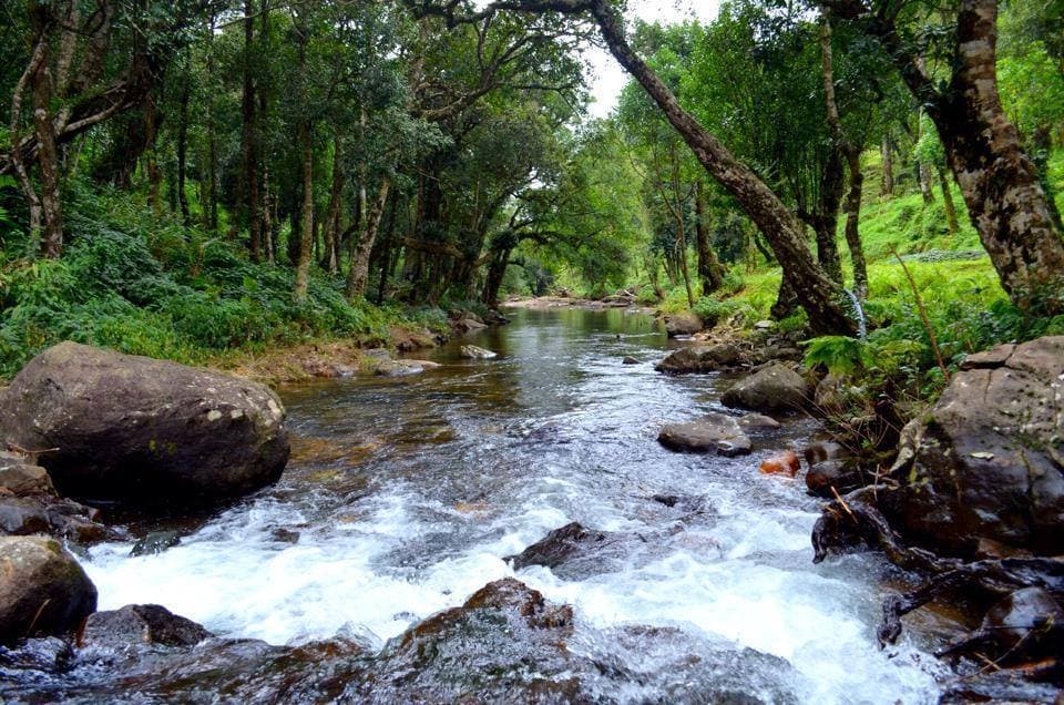Kerala Quick Escape Package 3 Days 4