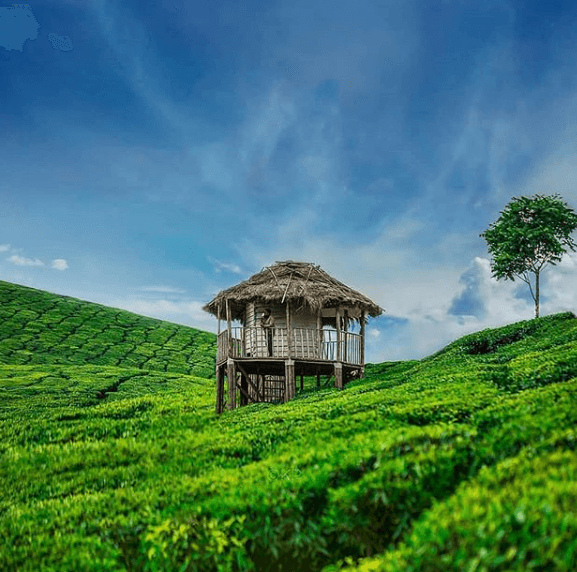 Kerala Quick Escape Package 3 Days 3