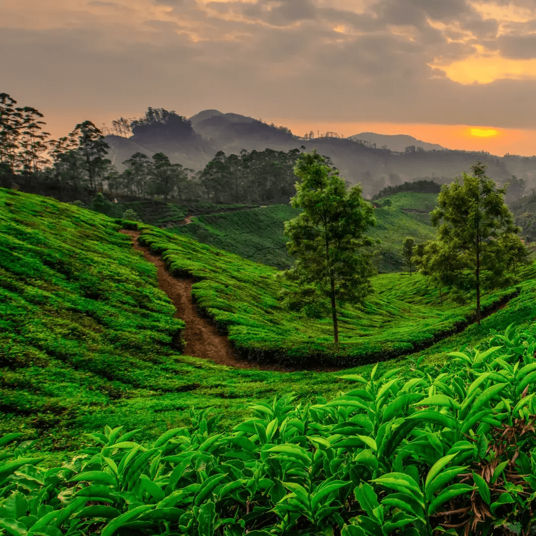 Adventure Kerala Package 2