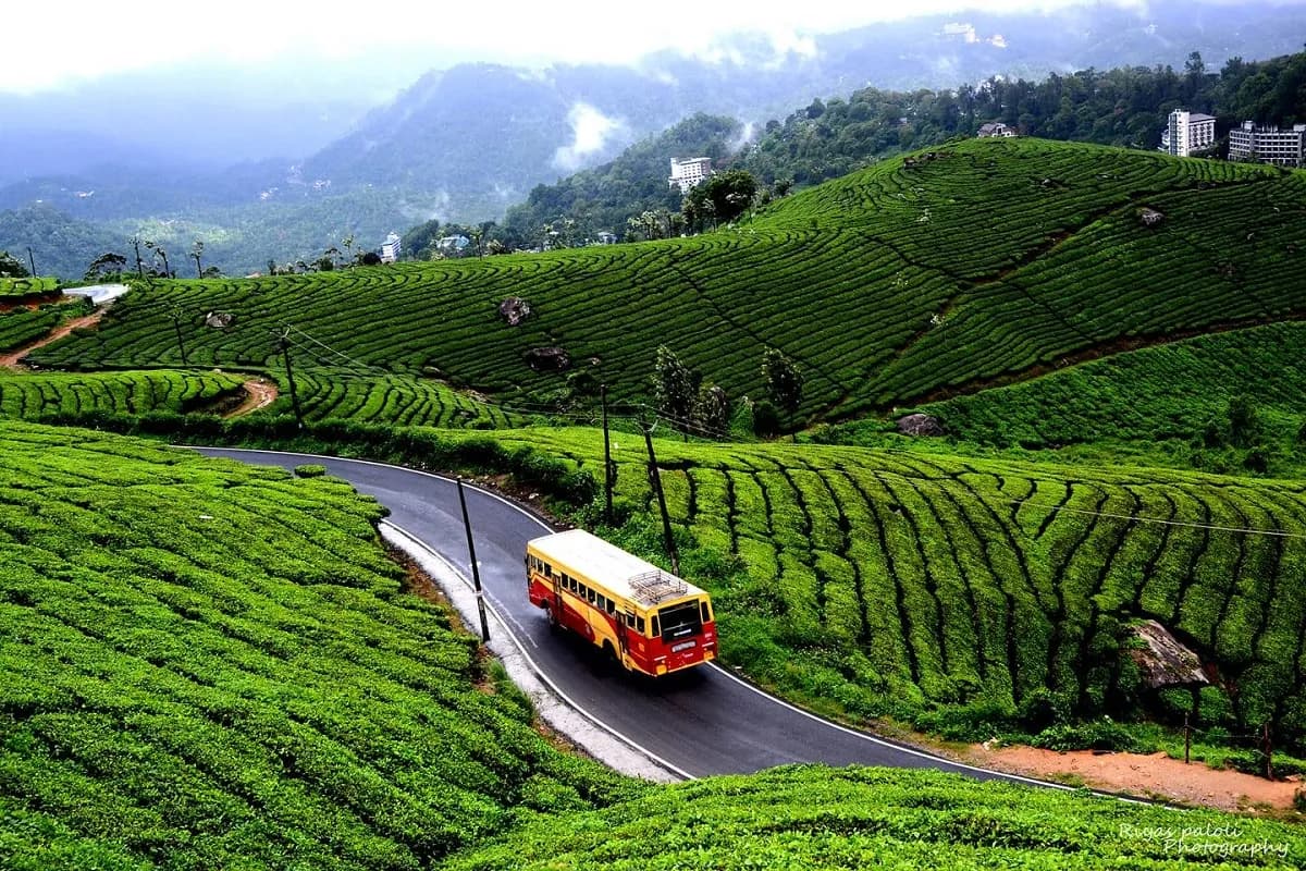 8 Days Kerala Family Tour Package with Kanyakumari, Kovalam, Alleppey, Thekkady & Munnar