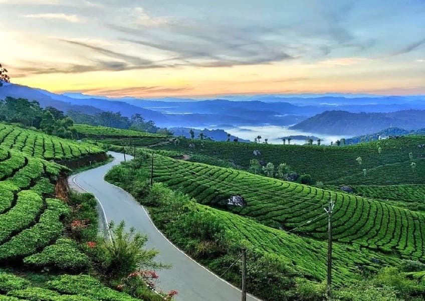 Kerala Quick Escape Package 3 Days