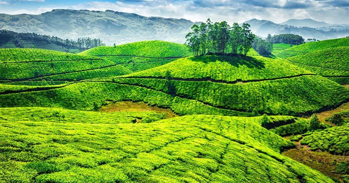 South India Temple & Kerala Package 9 Days 4