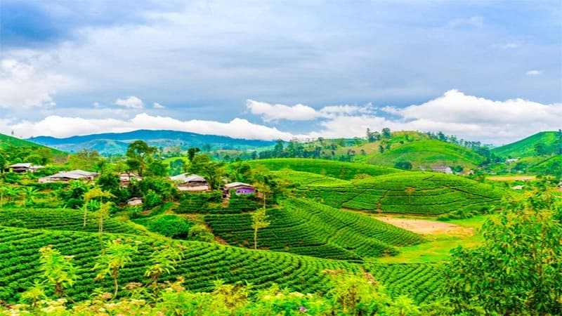 Gangtok Darjeeling Package 6 Days 2