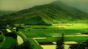Bangalore Mysore Coorg Ooty Package 7 Days 4