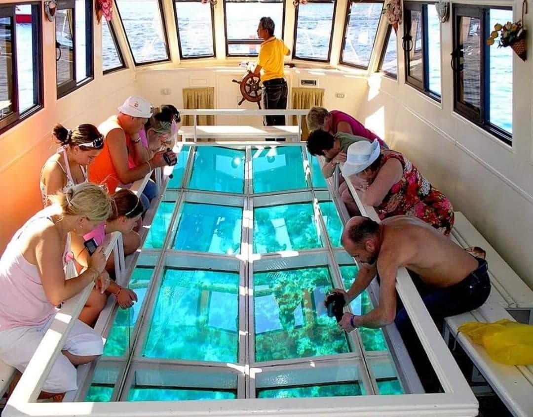 Andaman Island Escape Package 6 Days 4