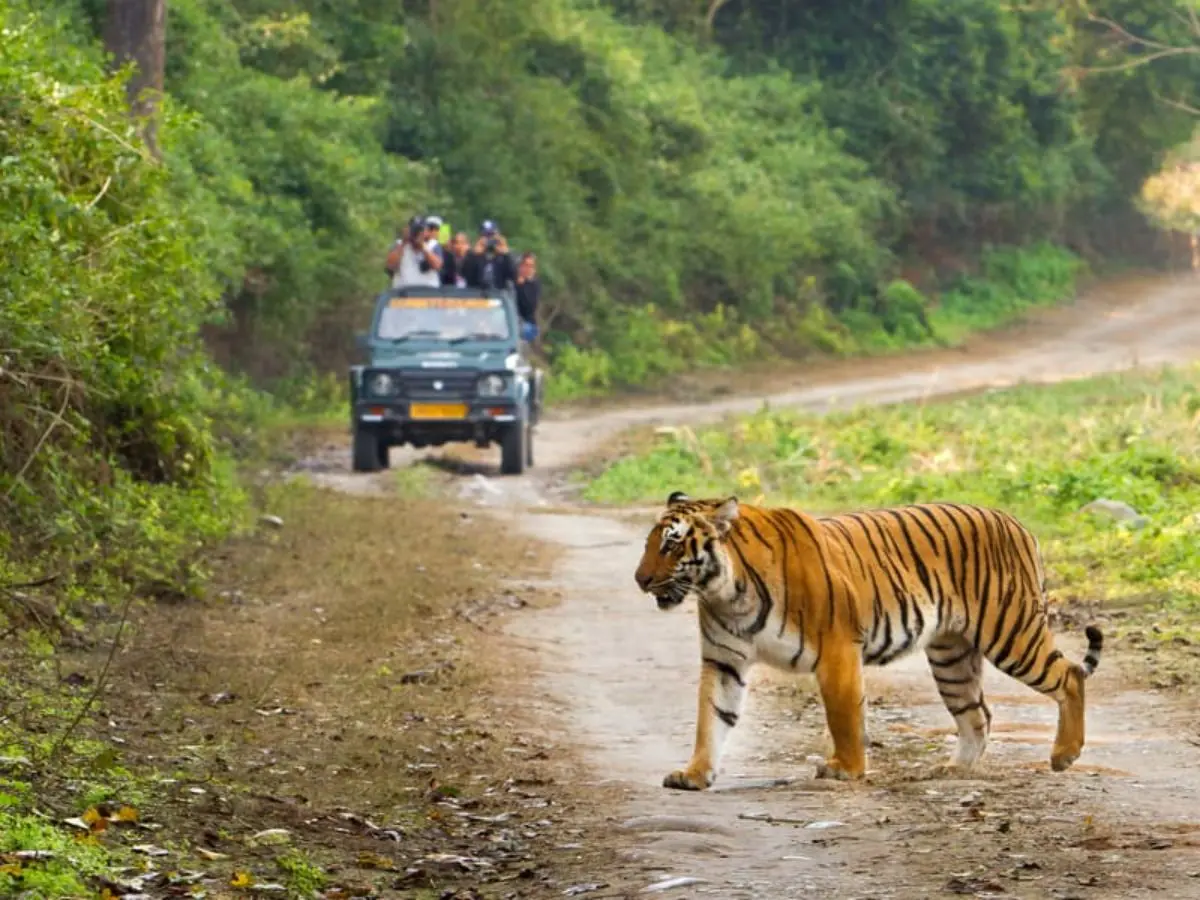 Uttarakhand Wildlife & Lake Package 5 Days 4