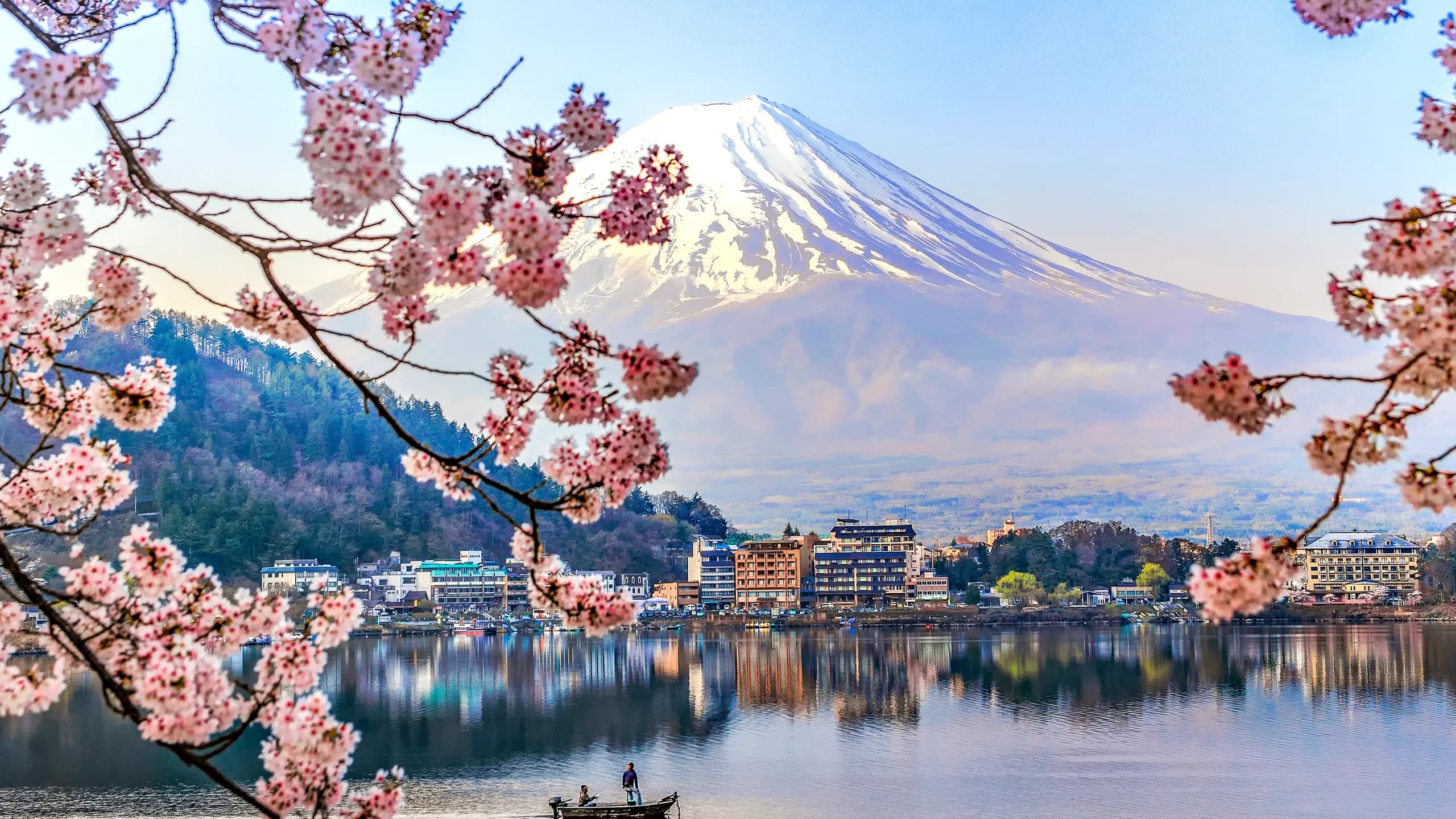 Japan Cherry Blossom Tour Package 8 Days