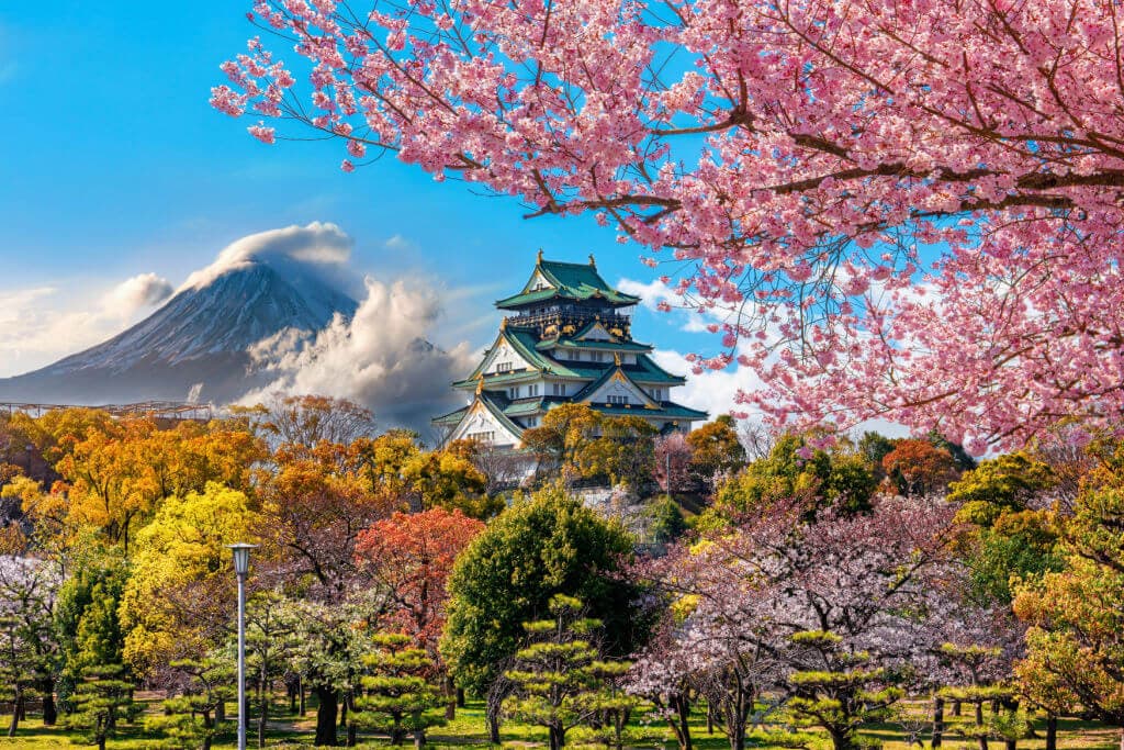 Japan Cherry Blossom Tour Package 8 Days 4
