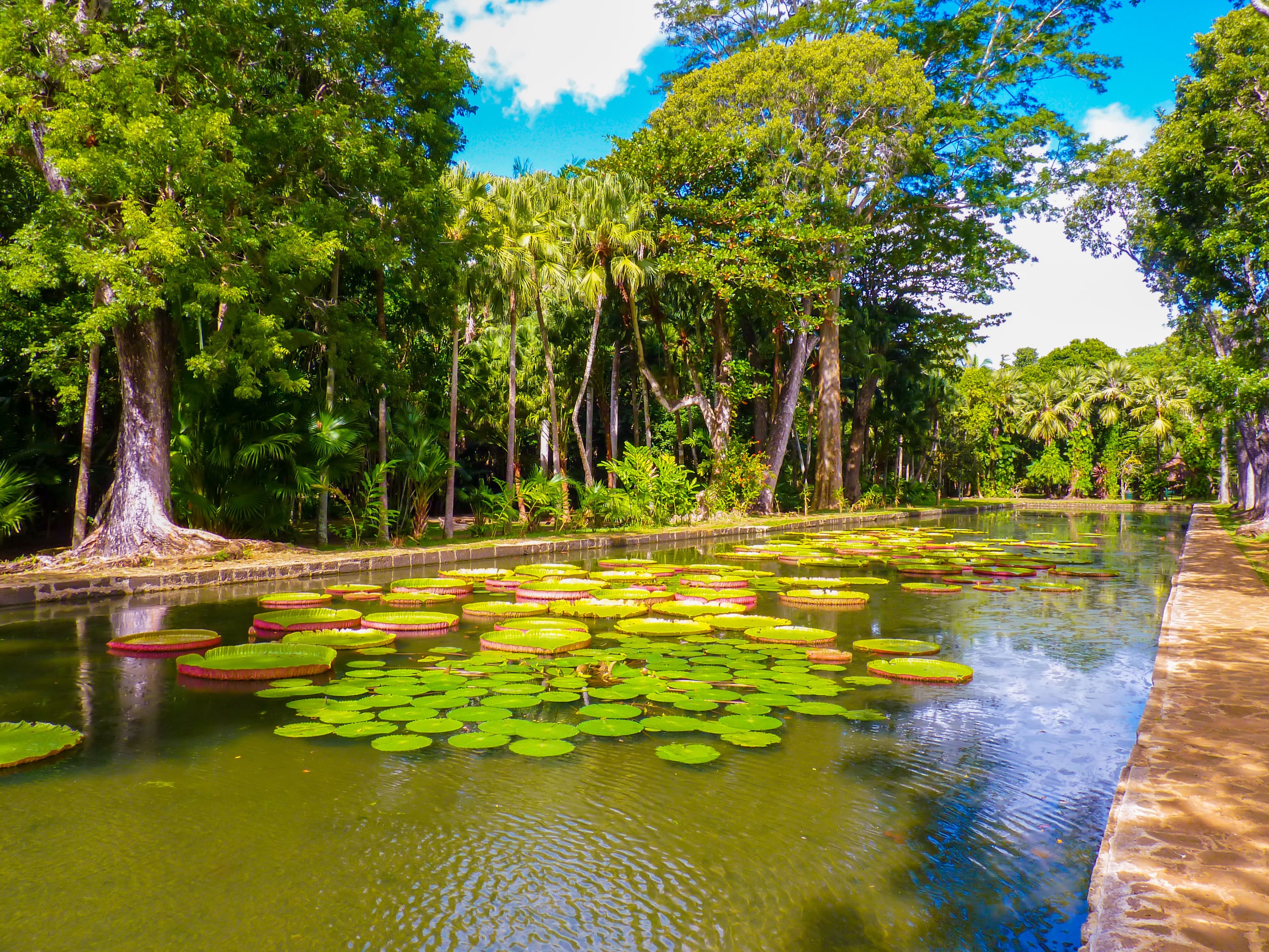 Mauritius Honeymoon Package 7 Days 2