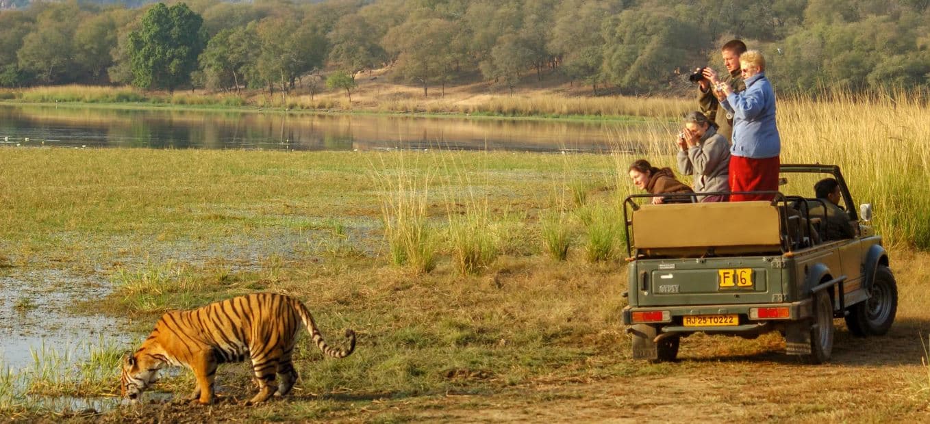 Jaipur Ranthambore Tour Package 4 Days