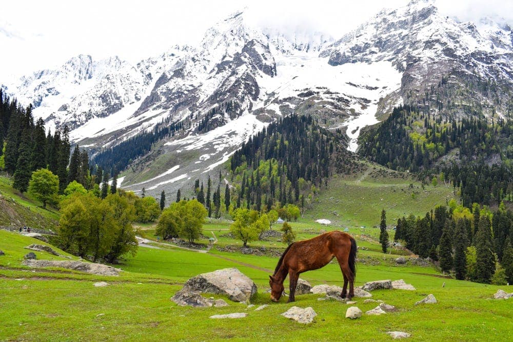 Amritsar Katra Kashmir Tour Package 10 Days
